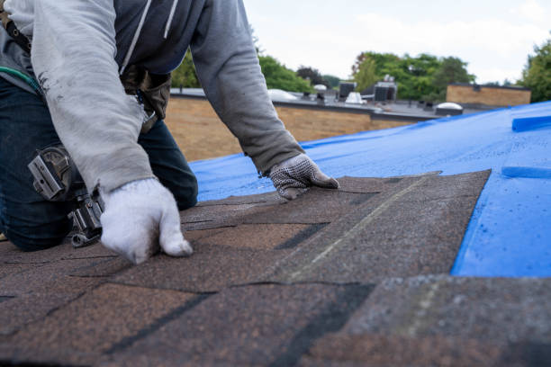 Best Roof Gutter Cleaning  in Benicia, CA